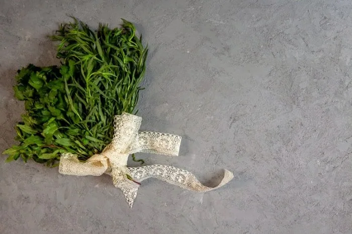 آویشن برای لاغری