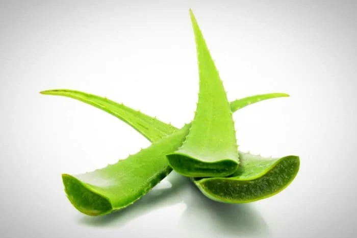 دستور کرم چربی سوز