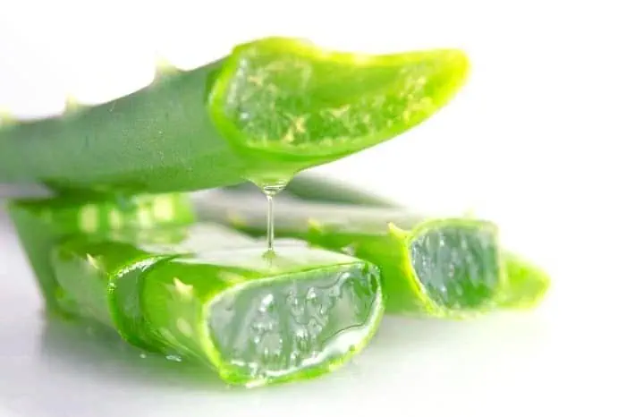 آلوئه ورا برای پوست 