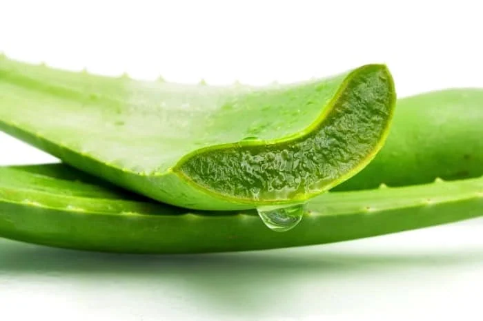 استفاده از آلوئه ورا 