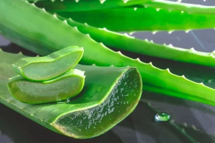 آلوئه ورا و زردچوبه