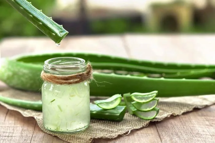 فواید آب آلوئه ورا