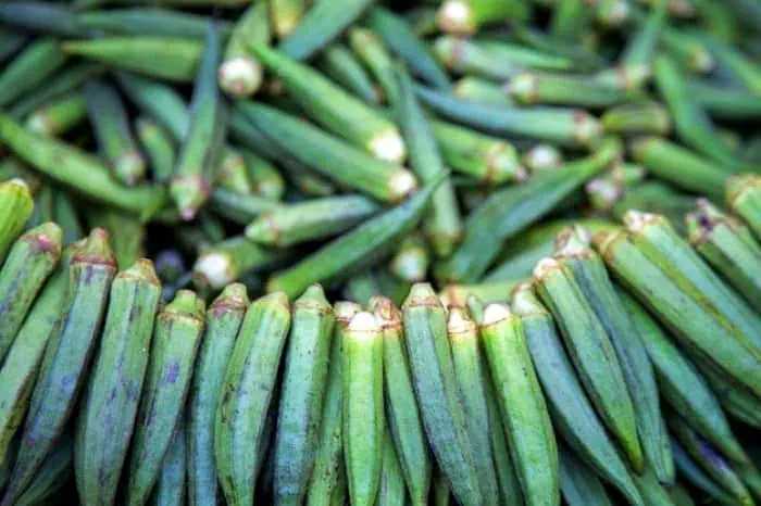 چگونه با بامیه قند خون را پایین بیاوریم درمان دیابت