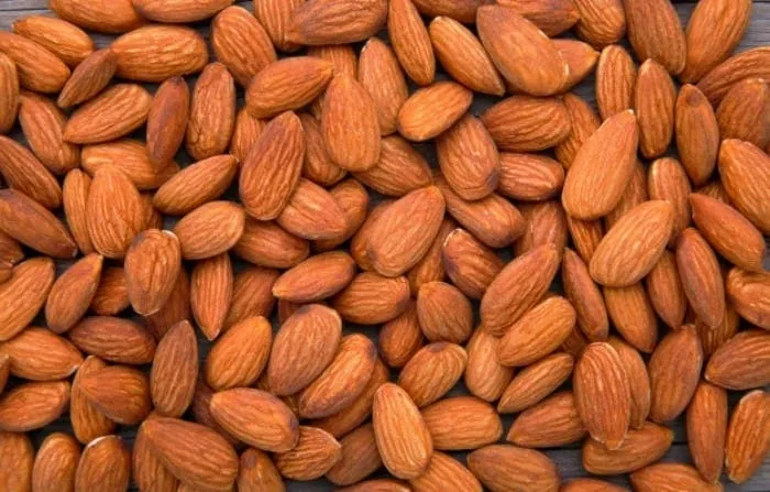 بادام 