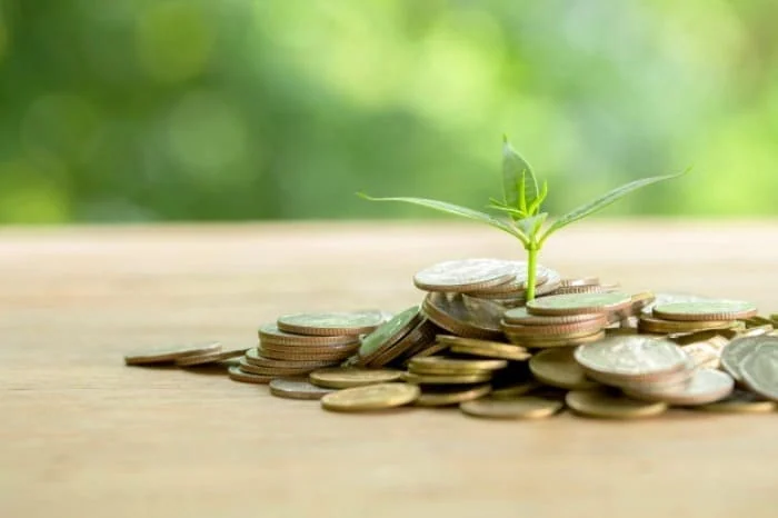 بهترین روشها برای پول درآوردن