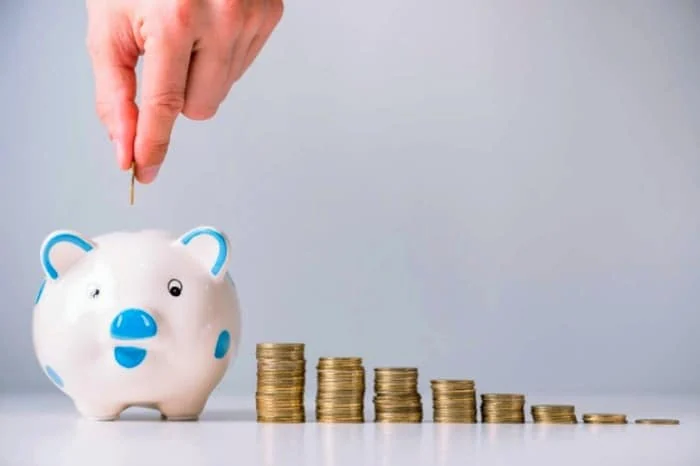 پس انداز کردن