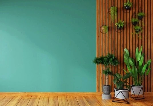 پرورش گیاهان آپارتمانی