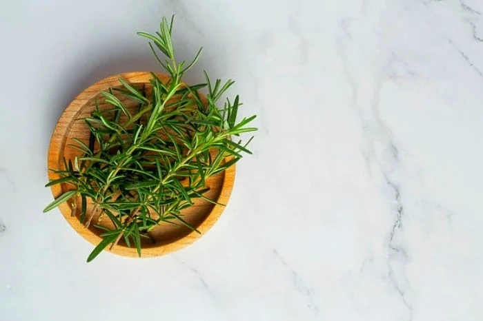 طریقه کاشت گیاه رزماری