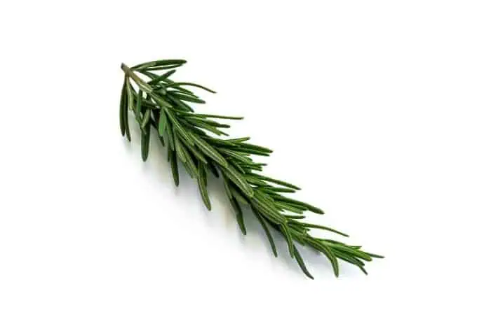 رزماری برای موی سر