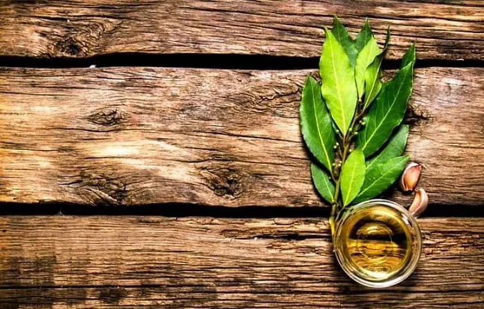 روغن های گیاهی