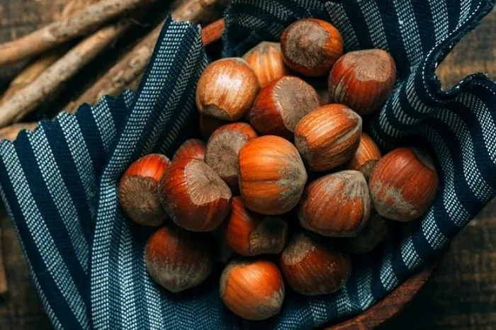 خواص بی نظیر شاه بلوط