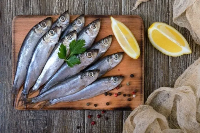 غذاهای ضد آلزایمر
