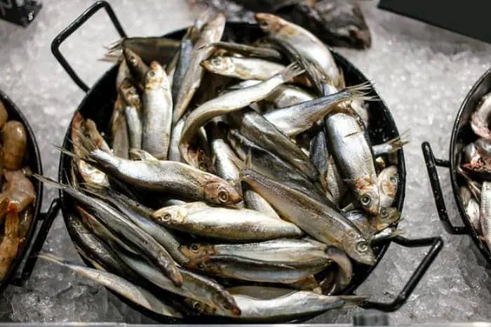 مصرف ماهی پرورشی