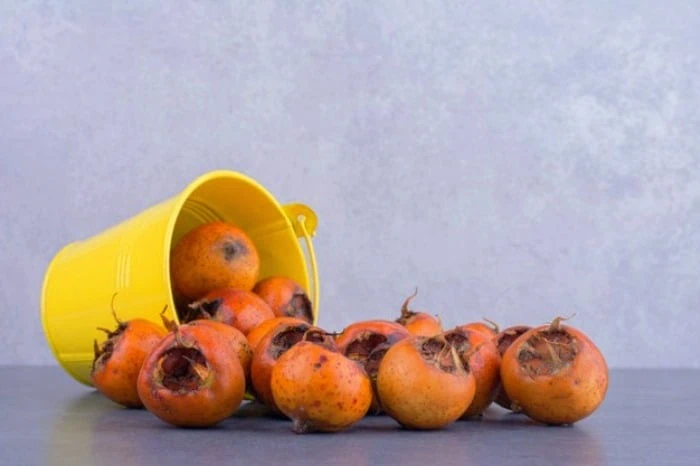 ازگیل برای دیابت