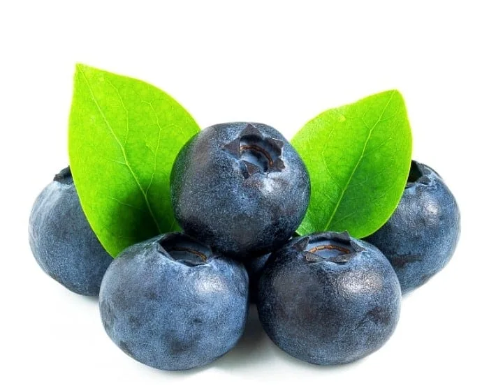 چای بلوبری
