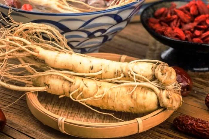 گیاه پر از خواص جینسینگ