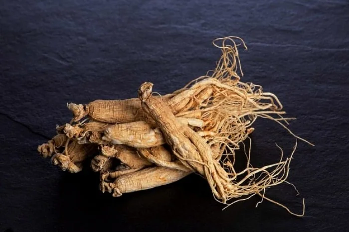 مصرف چای جینسینگ برای درمان چاقی افراد چای جینسینگ