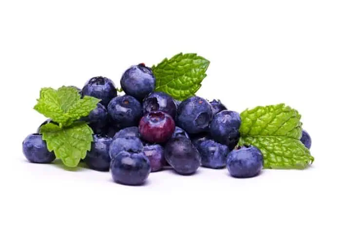 بلوبری برای مو