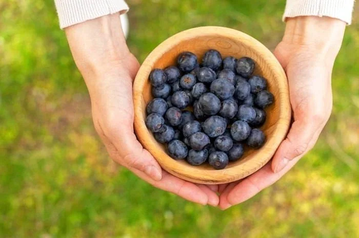 بلوبری برای لاغری