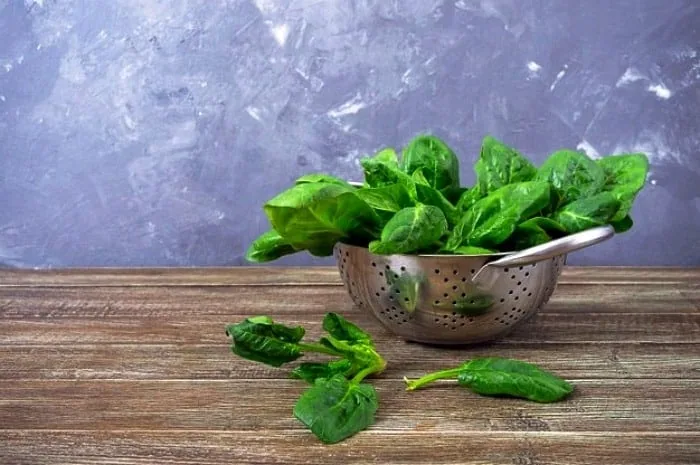 خوراکی های برتر دنیا