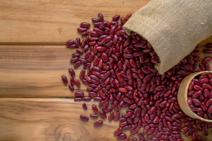مواد غذایی 