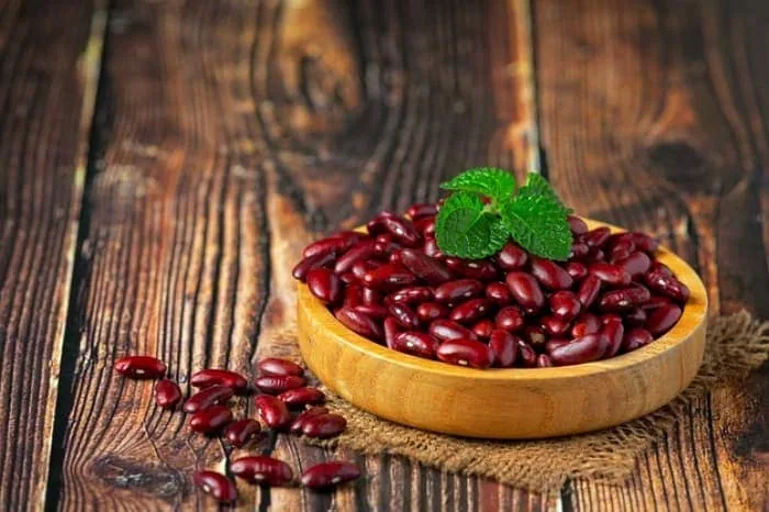 پروتئین لوبیا قرمز
