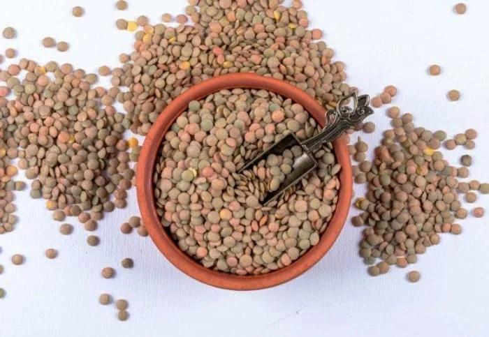 عدس برای کم خونی 