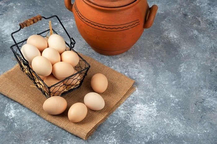پروتئین تخم مرغ 