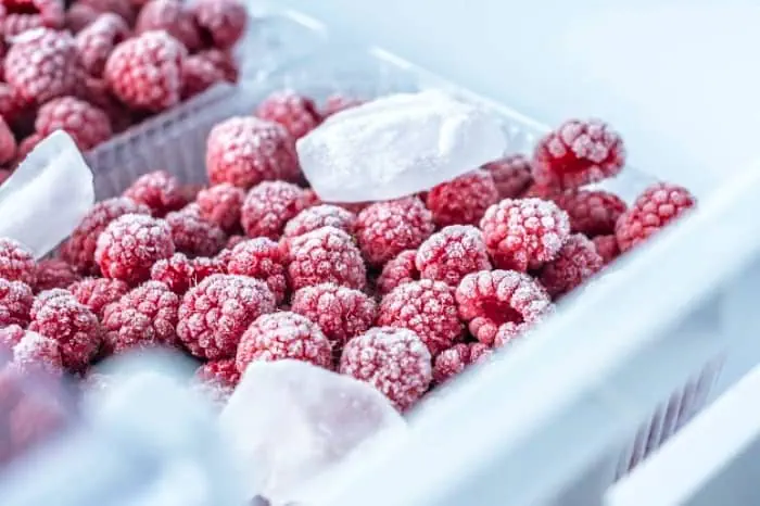 یخ زدایی مواد غذایی