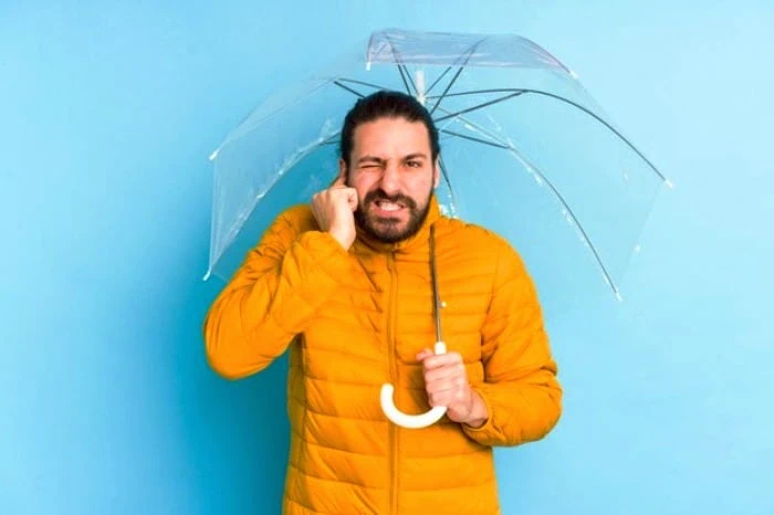 برگ انبه برای مو و درمان درد گوش 