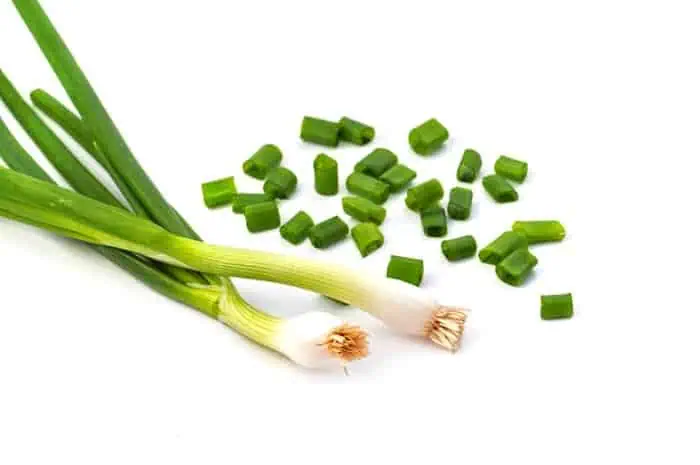 پیازچه 