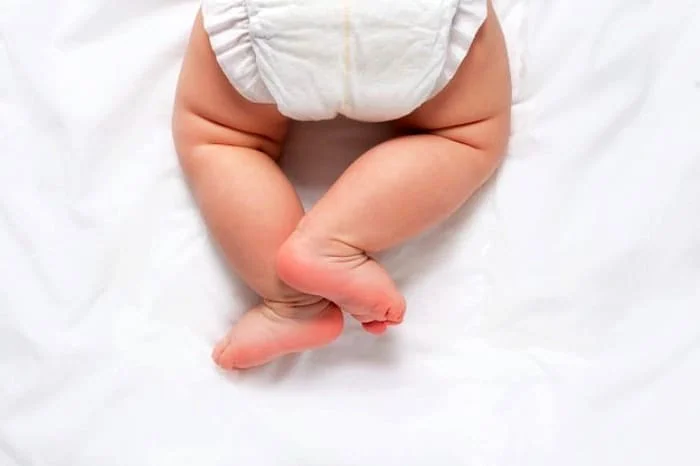 بیضه ها