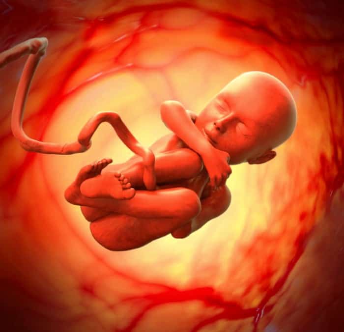 رشد جنین در هفته 39 بارداری