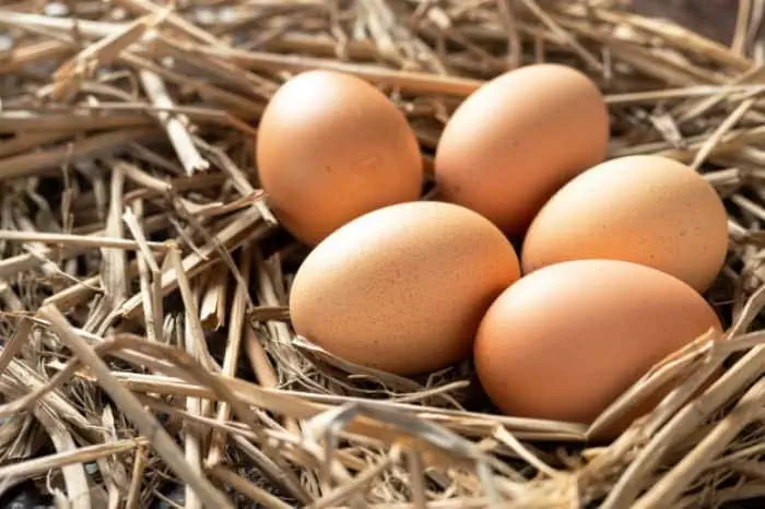 دارچین برای مو