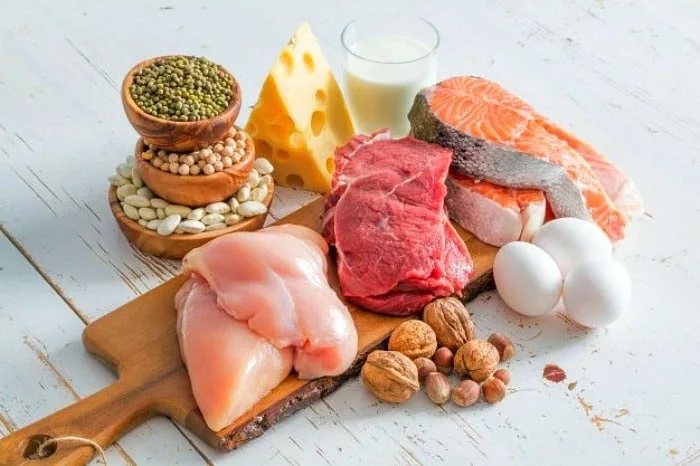 مواد غذایی پروتئین