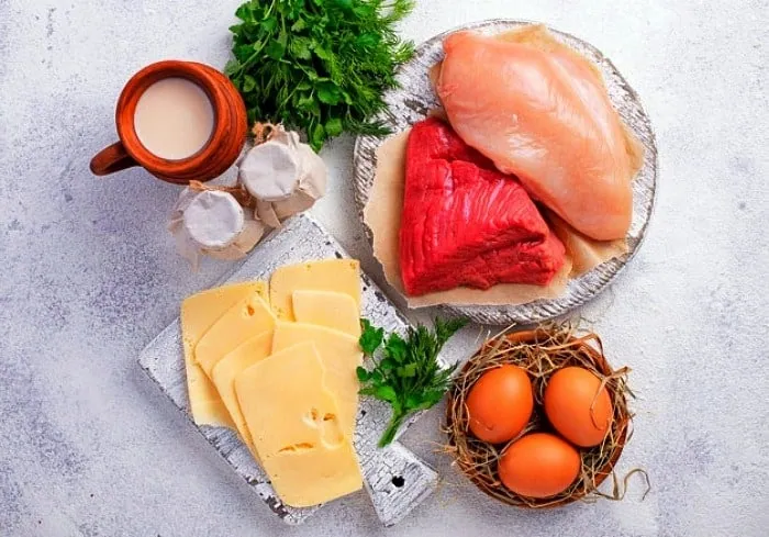 پروتئین برای عضله