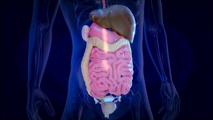 پاکسازی دستگاه گوارش ضد عفونی روده