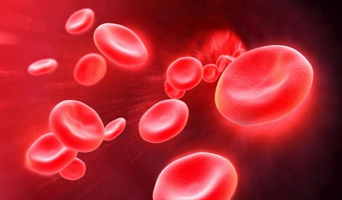 سلول خونی