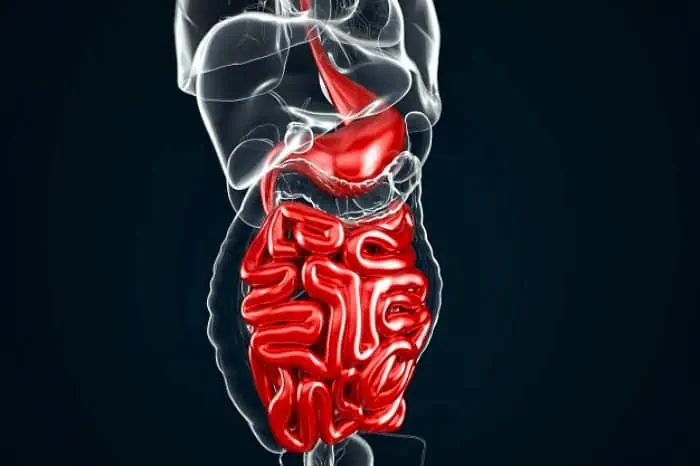 کاهش وزن و پاکسازی روده 