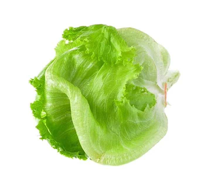 تاثیر کاهو بر جنین 