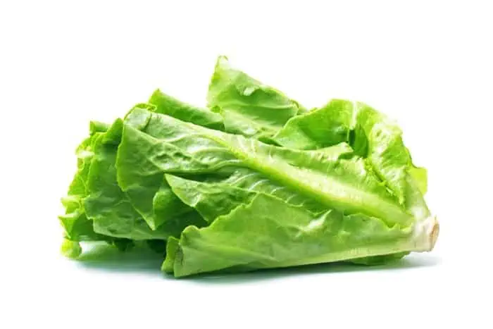 مضرات کاهو