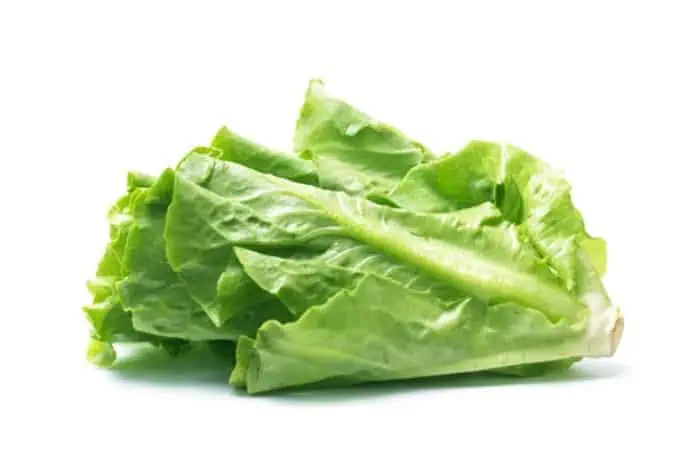 خوردن کاهو در دوران بارداری 