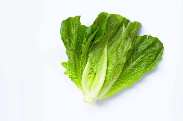ماسک صورت با کاهو
