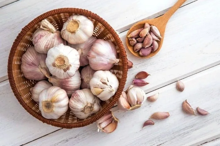 سیر برای گوارش