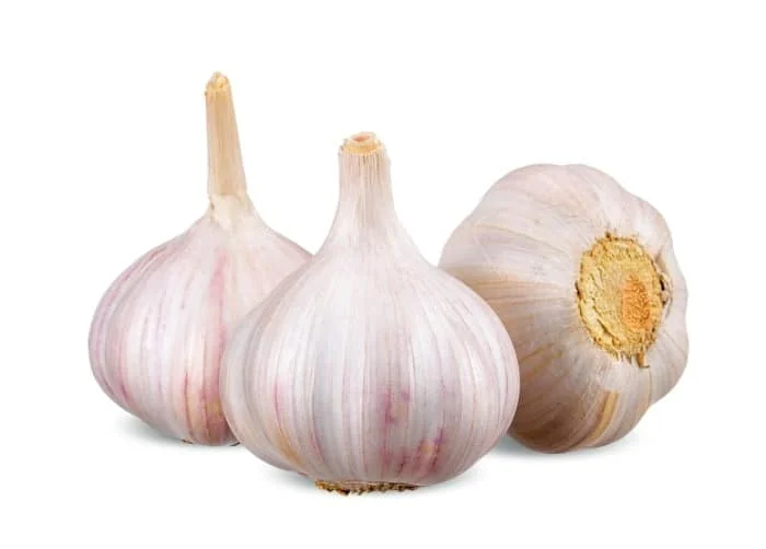 استفاده از سیر