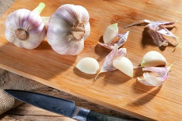 عفونت های باکتریایی