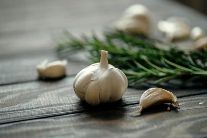 سیر برای پوسیدگی دندان