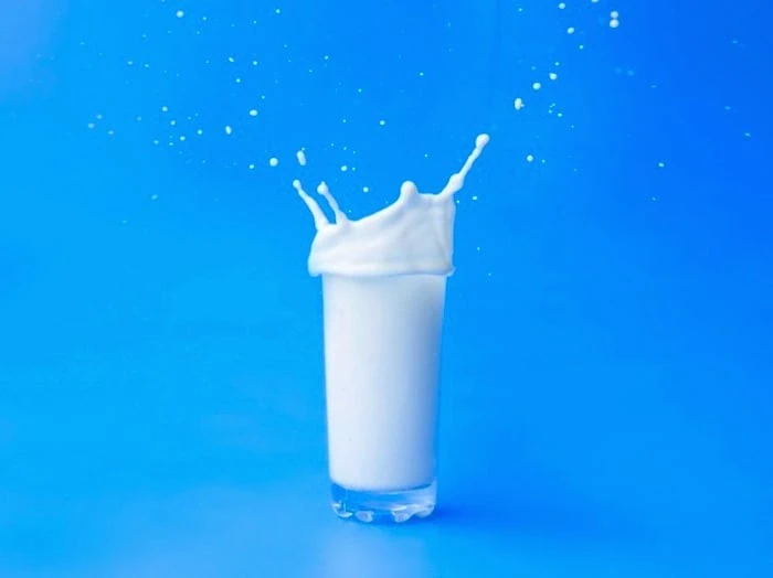 شیر برای چاقی
