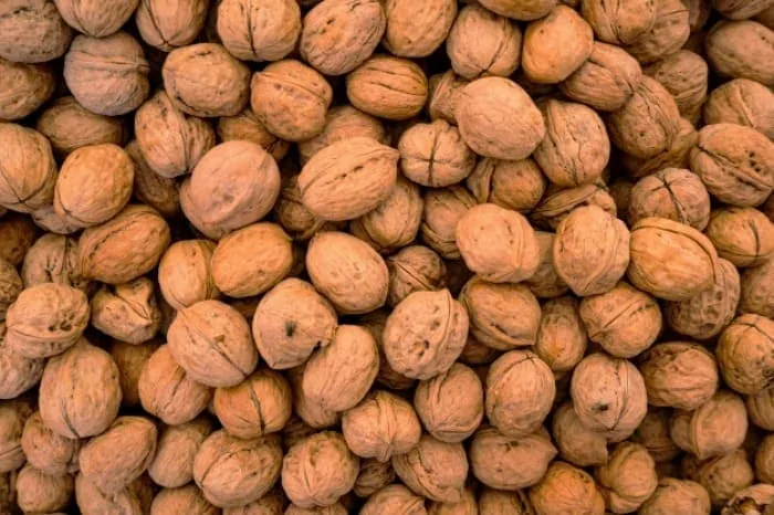 گردو چینی