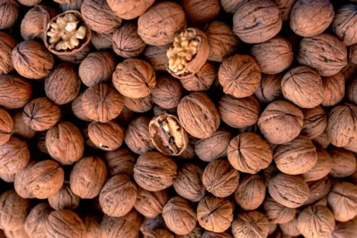 مغز گردو